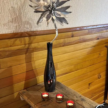 Joli A 2 Min Des Pistes, 5 Min Du Coeur Du Village, Parking Prive, A Pied Chalet