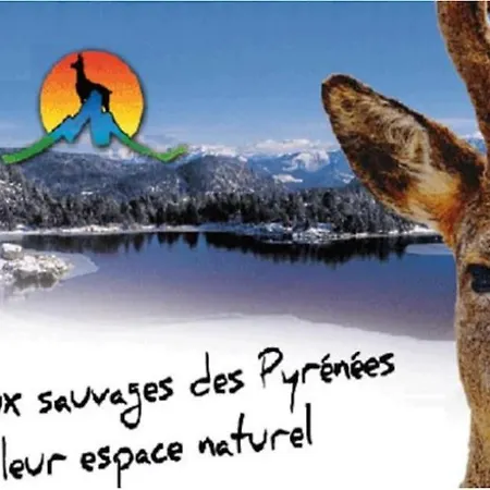 Joli A 2 Min Des Pistes, 5 Min Du Coeur Du Village, Parking Prive, A Pied 레장글
